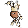 Funny Monkey