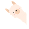 Alpaca Lama