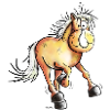 Courir Haflinger