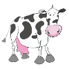 vache