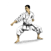 karate
