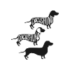 Dachshund