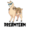 Dreamteam Funny gift