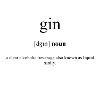 Gin Definition Dictionary