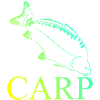 angry carp