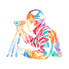 Surveyor