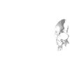 Memento Mori