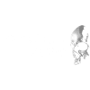 Memento Mori