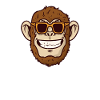 Cool monkey with sunglasses