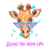 Cool giraffe