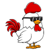 Cock chicken