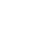 Vagabond