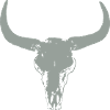 Buffalo Skull