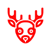 reindeer