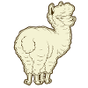 Alpaca alpaca