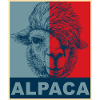 Alpaca alpaca