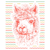 Alpaca alpaca