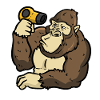 Stylist gorilla