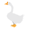 White goose standing