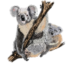 koala bear