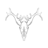 Deer antler skull II
