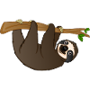 sloth