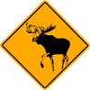 Moose Road Sign
