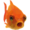 goldfish