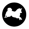 SPITZ