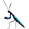 Bioluminescent Preying Mantis