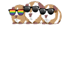 cobayes