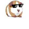 cobayes