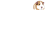 cobayes