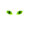 Chat chat