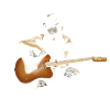 Guitarist