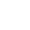 Brain brain