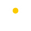 Daisy flower