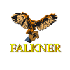 Falkner Falknerei Beizjagd Greifvogel Greif