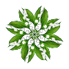 Rosace Muguet