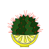 The lemon cactus