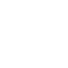The diver