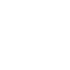 Football fan