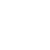 brain