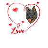 Bohemian Shepherd