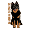 Bohemian Shepherd