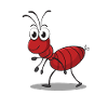 Funny ant