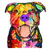 Pitbull