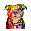 Chérie Pitbull