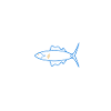 The Fish