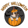 happy halloween pug